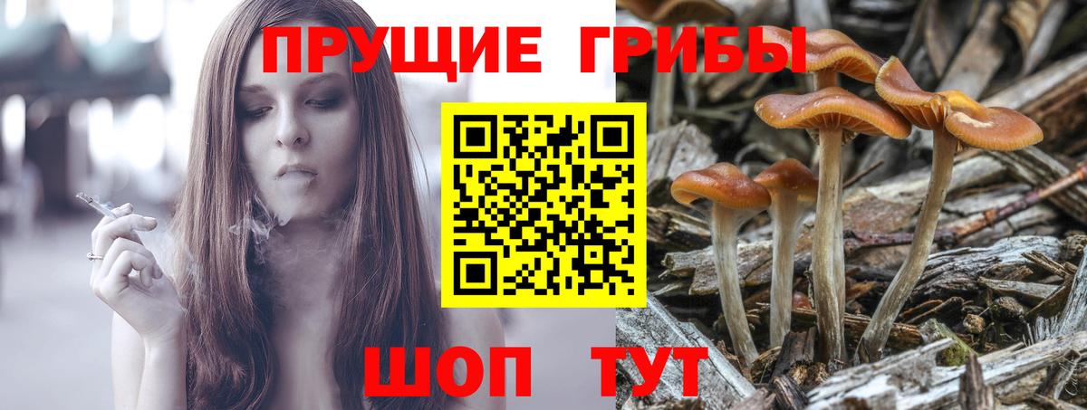 Дмитров  Псилоцибиновые грибы Psilocybine cubensis  Вход с VPN  Псилоцибиновые грибы мухоморы 
